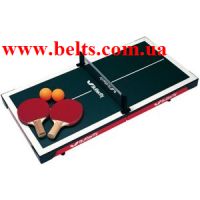 Игра в мини настольный теннис пинг понг PINGPANG TABLE
